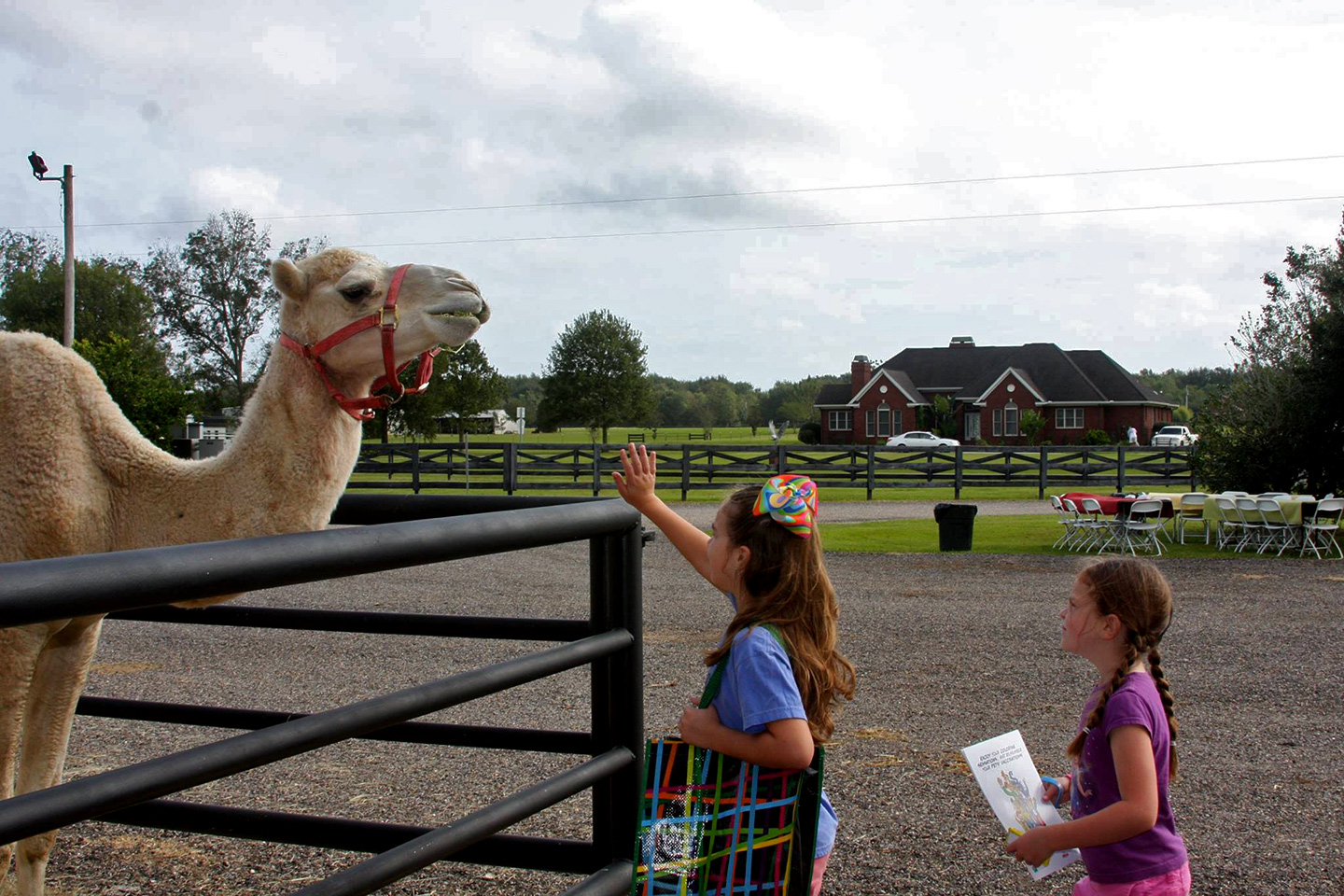 Baldwin Animal Clinic Open House