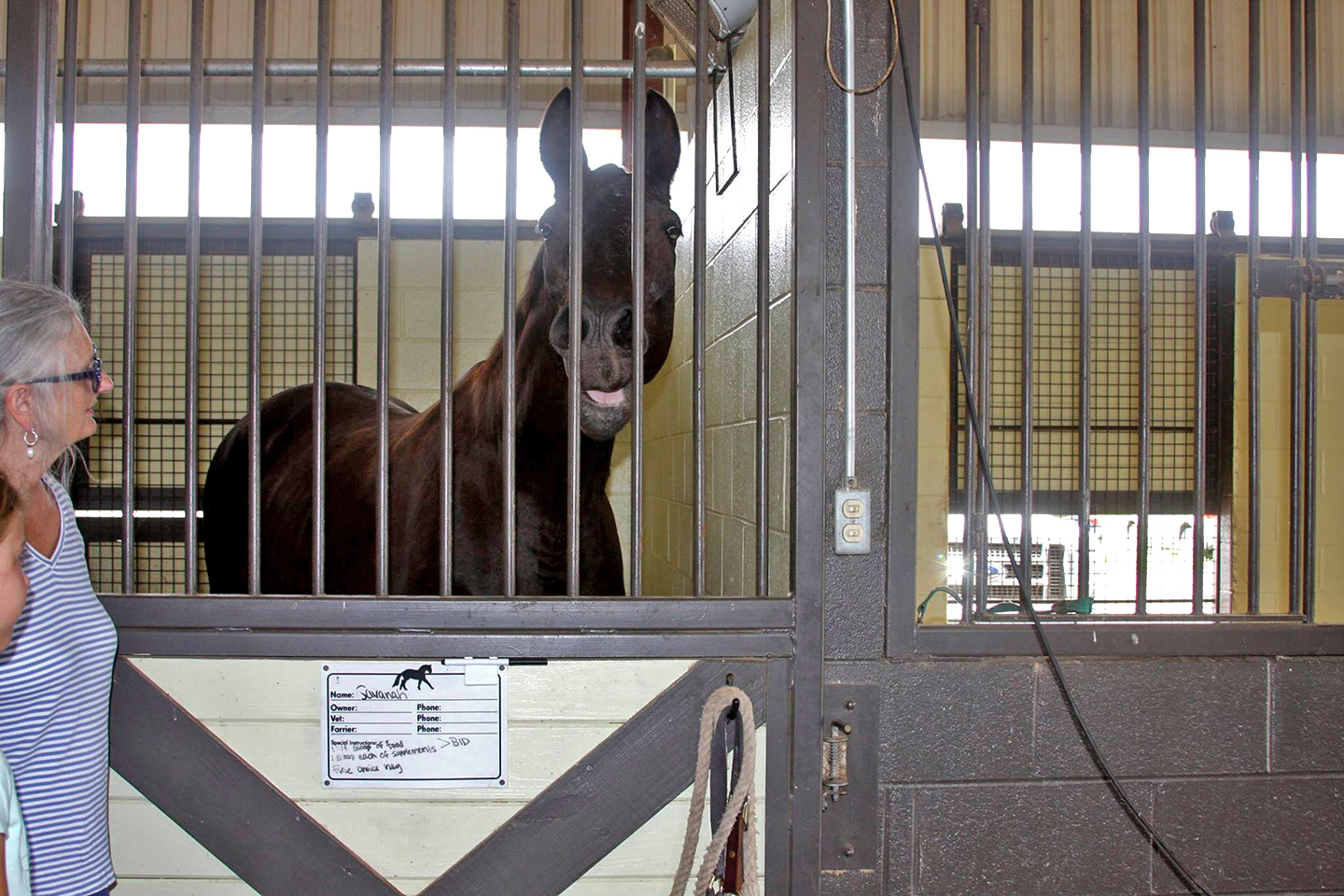 Baldwin Animal Clinic Open House