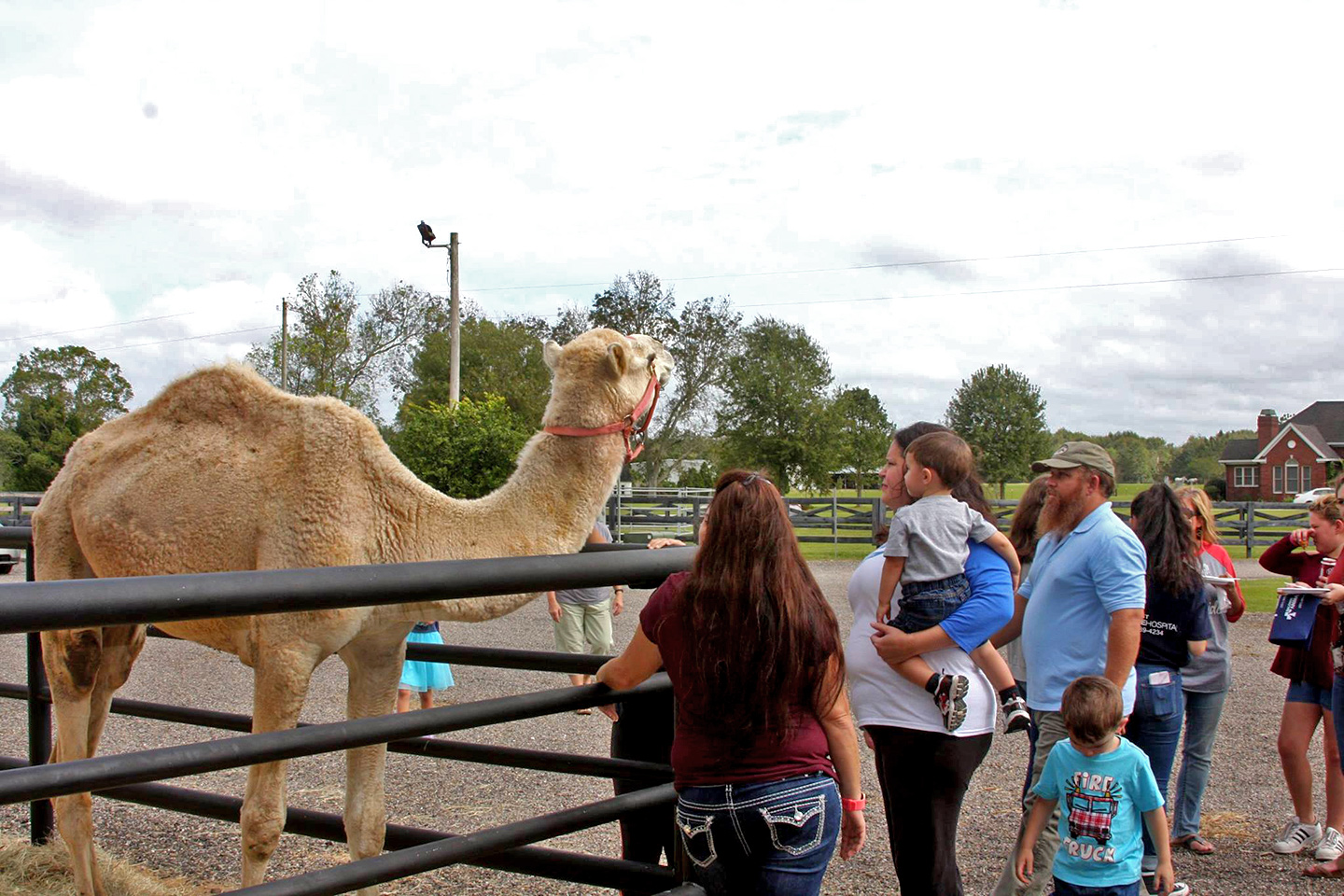 Baldwin Animal Clinic Open House