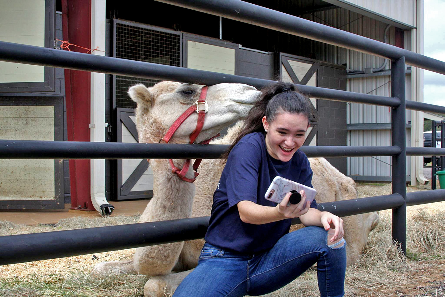 Baldwin Animal Clinic Open House