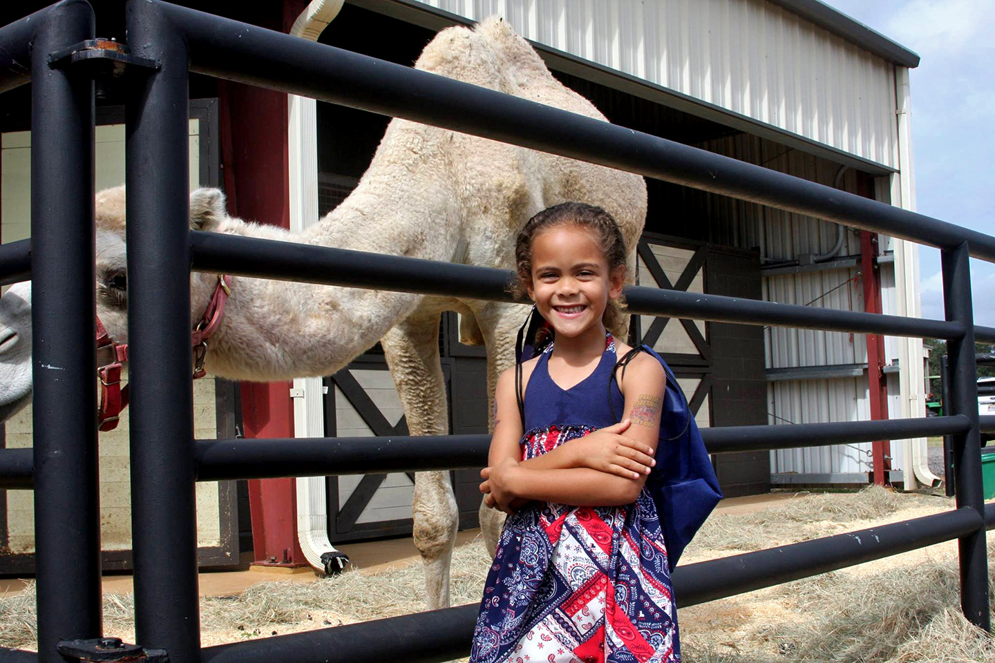 Baldwin Animal Clinic Open House