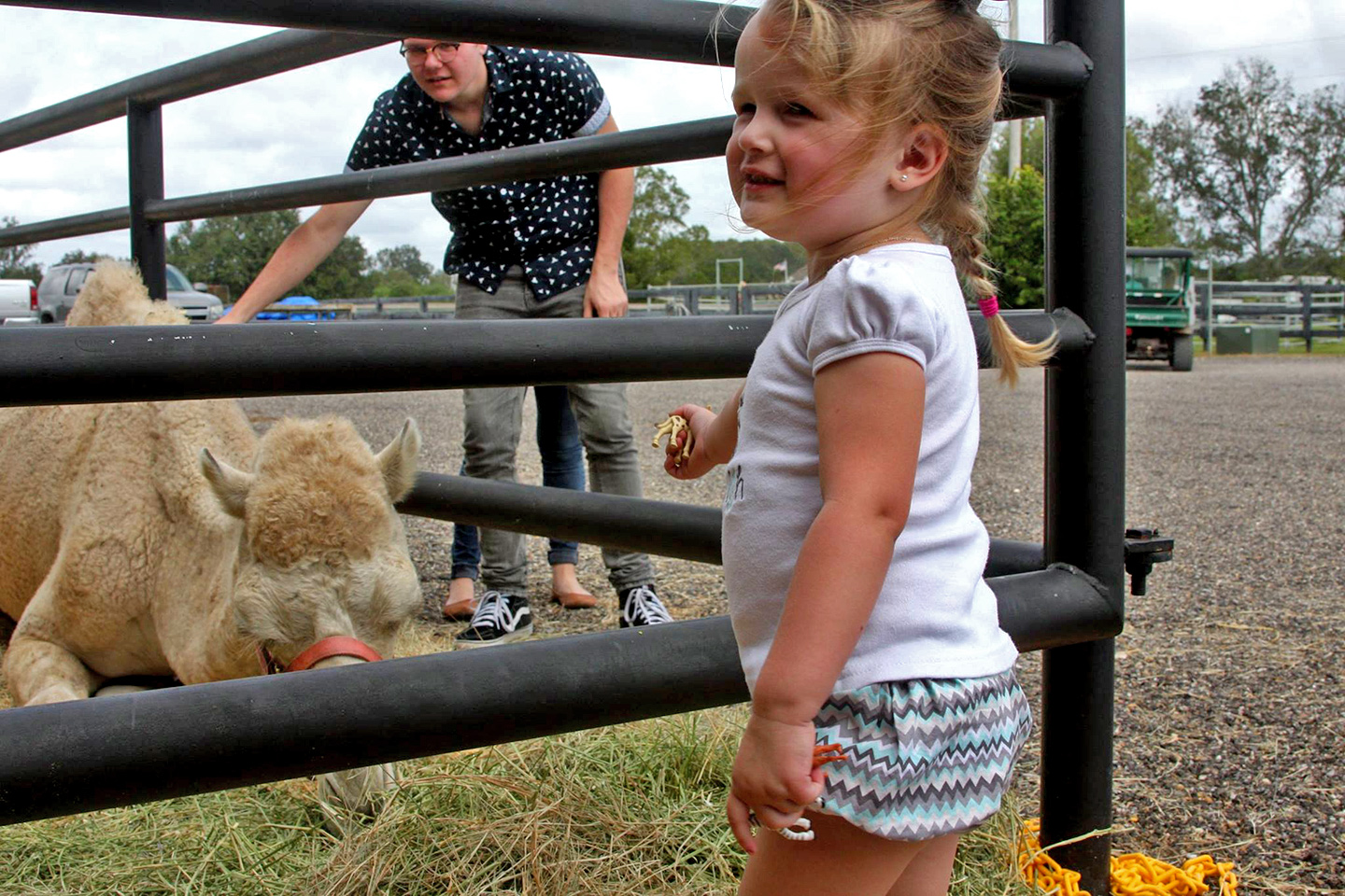 Baldwin Animal Clinic Open House