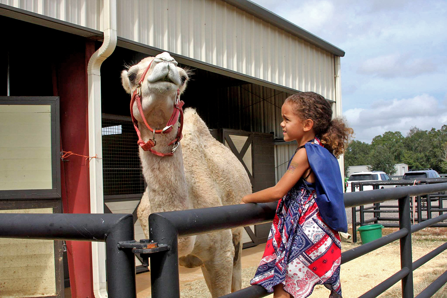 Baldwin Animal Clinic Open House