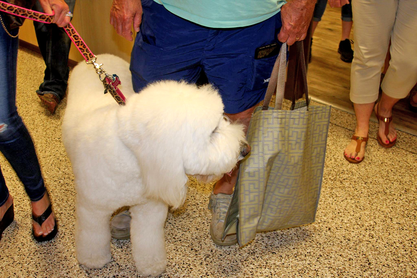 Baldwin Animal Clinic Open House