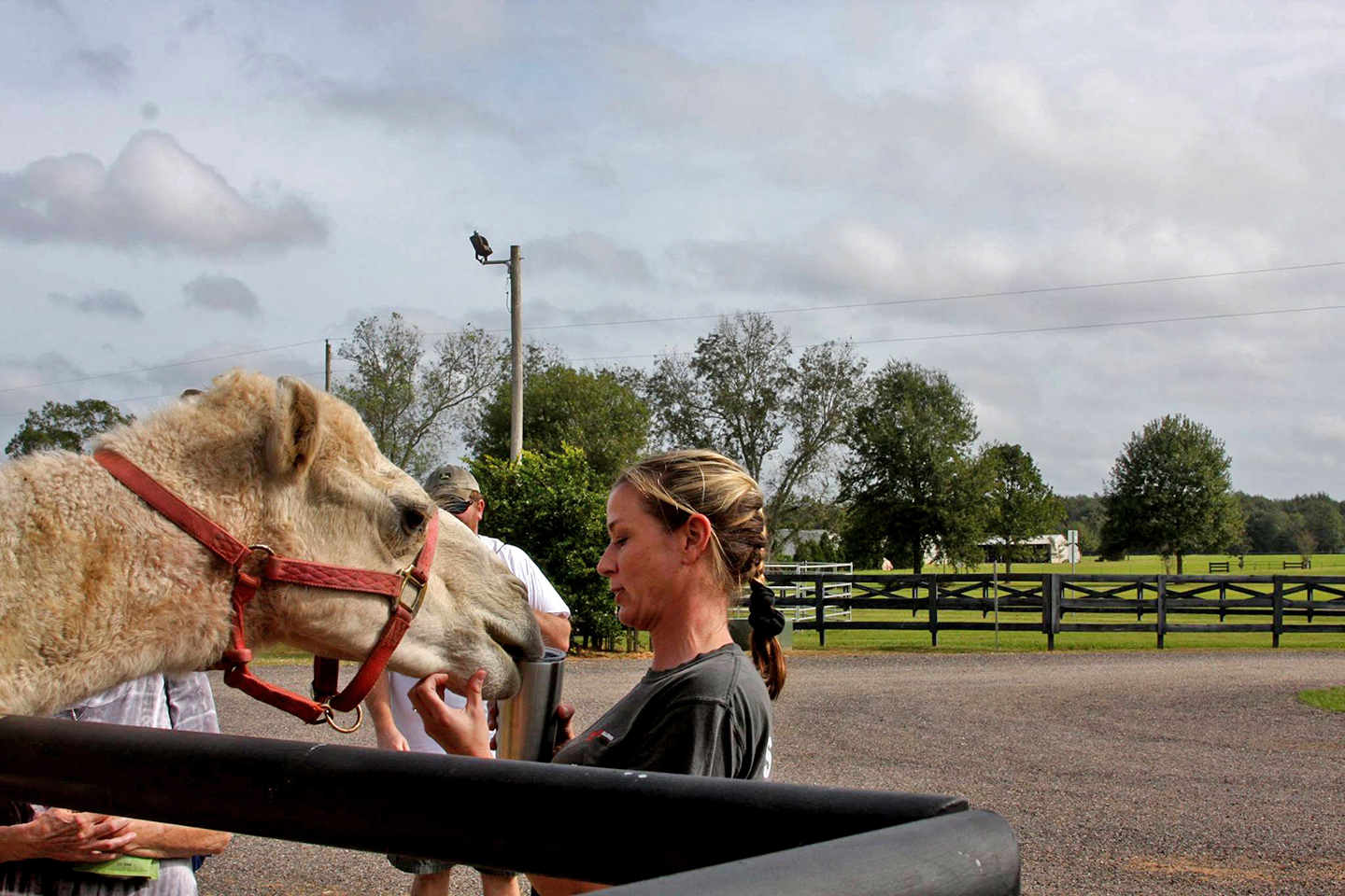 Baldwin Animal Clinic Open House