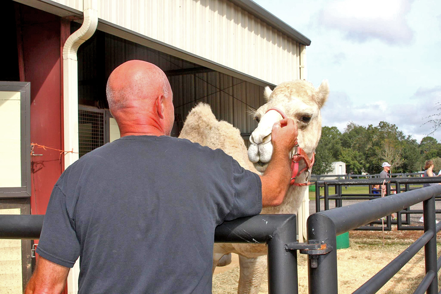 Baldwin Animal Clinic Open House