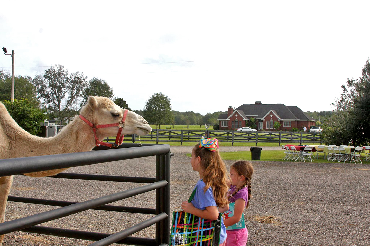 Baldwin Animal Clinic Open House