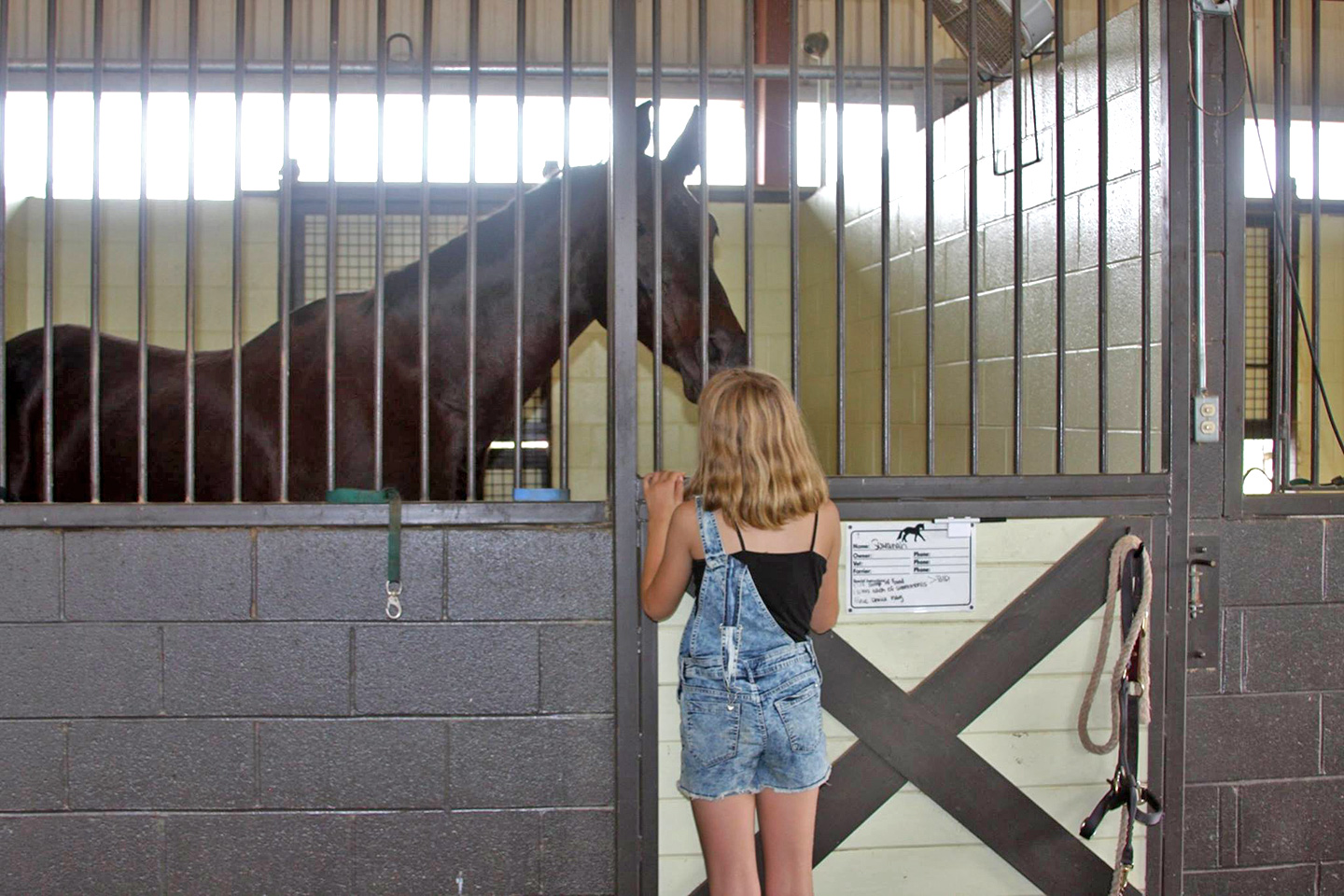 Baldwin Animal Clinic Open House