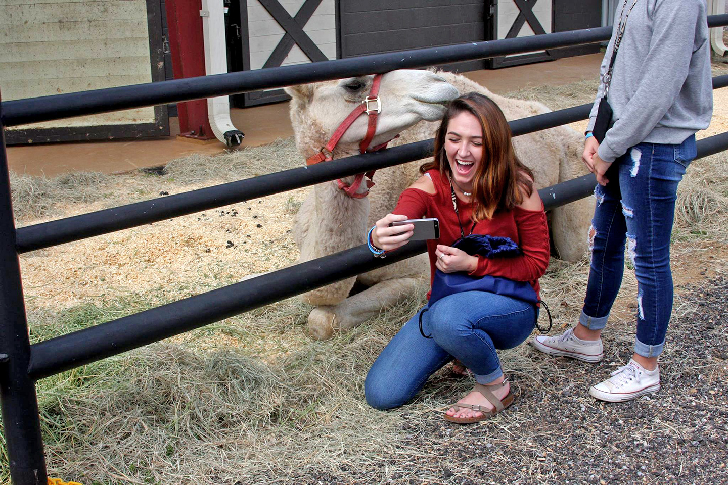 Baldwin Animal Clinic Open House